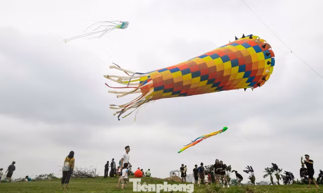 Bãi thả diều phủ kín bầu trời phía Tây Hà Nội