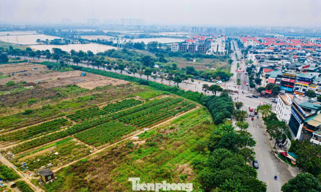 Hiện trạng khu đất làm công viên, quảng trường nhạc nước gần 100ha ở Hà Nội