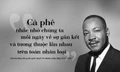 Nông nghiệp sinh thái trong sự phát triển bền vững của ngành cà phê toàn cầu
