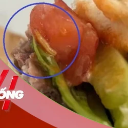 NHỊP SỐNG 24: Làm rõ vụ dòi lúc nhúc trong bánh hamburger