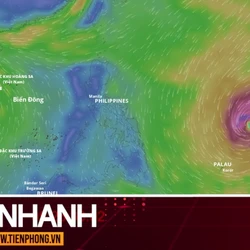 TIN NHANH: Bão số 13 vừa tan, Biển Đông lại có khả năng đón bão số 14