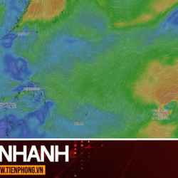 TIN NHANH: Tin về cơn bão mới đang hình thành ngoài khơi