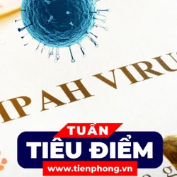 TIÊU ĐIỂM: Vì sao virus Nipah lây nhiễm thấp nhưng tỉ lệ tử vong có thể lên tới 75%