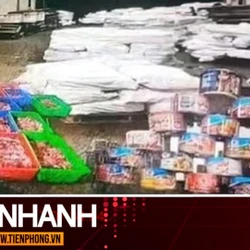 TIN NHANH: Hơn 120 tấn thịt bệnh dịch tả heo châu Phi tuồn vào Công ty Cổ phần đồ hộp Hạ Long như thế nào?
