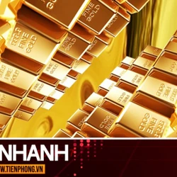 TIN NHANH: Giá vàng trên đà sụt mạnh nhất trong 6 năm, vì sao chuyên gia cảnh báo chớ vội ‘bắt đáy’?