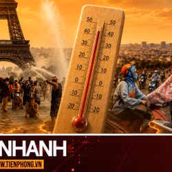 TIN NHANH: Chuyên gia phân tích về hiện tượng nắng nóng phá kỷ lục hơn 100 năm ở Pháp