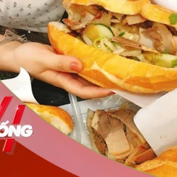 NHỊP SỐNG 24: Vụ hơn 100 người ngộ độc ở Nha Trang: Vi khuẩn Salmonella là gì, vì sao hay có trong bánh mì?