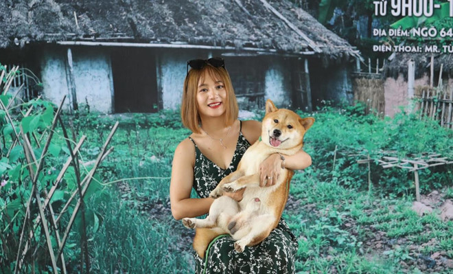 Việc đoàn làm phim chọn chú chó Nhật Bản thuần chủng vào phim Cậu Vàng đã gây ra tranh cãi trái chiều. Việc đoàn làm phim chọn chú chó Nhật Bản thuần chủng vào phim Cậu Vàng đã gây ra tranh cãi trái chiều.