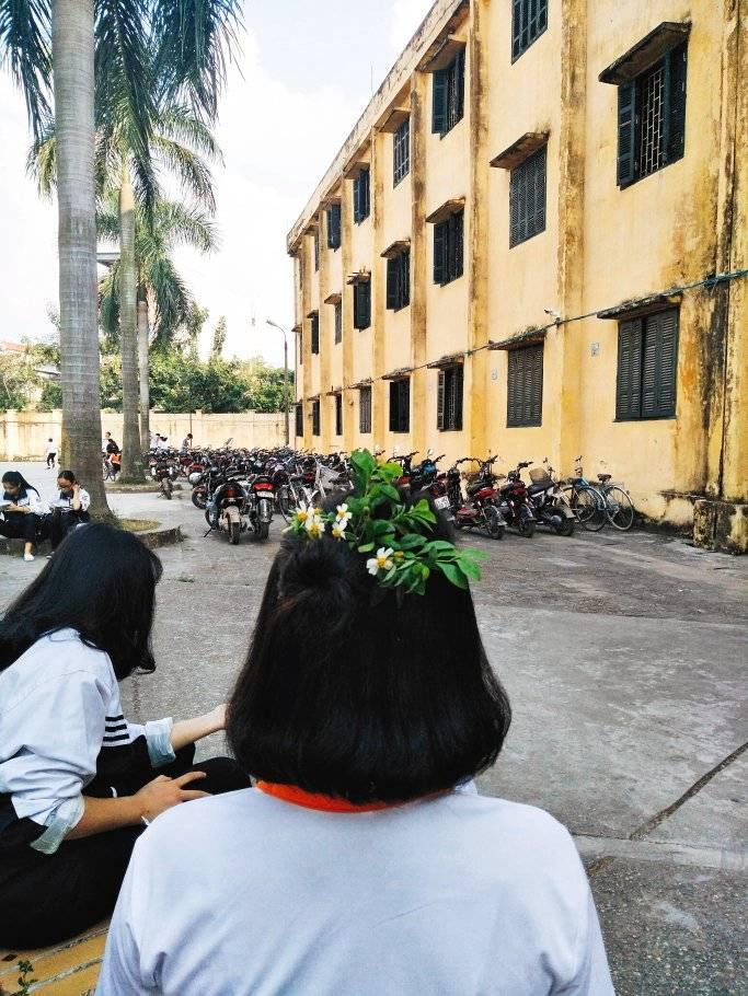 Cài tóc được làm hoàn toàn bằng chất liệu tự nhiên, không gây độc hại, lại còn có mùi thơm nữa Cài tóc được làm hoàn toàn bằng chất liệu tự nhiên, không gây độc hại, lại còn có mùi thơm nữa