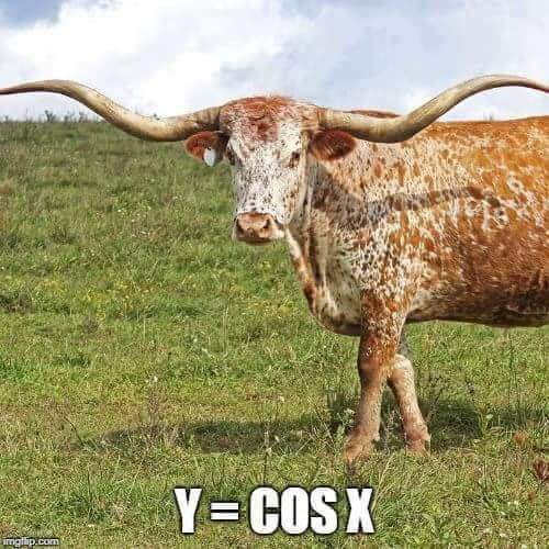 Lên xuống như dòng đời xô đẩy chính là hàm lượng giác y= cos x đây mà!