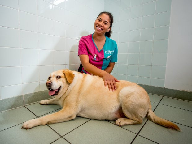 Còn Sadie, chú chó nặng nhất năm nay với 42 kg thì cần phải giảm tới 12 kg mới dạt chuẩn. Còn Sadie, chú chó nặng nhất năm nay với 42 kg thì cần phải giảm tới 12 kg mới dạt chuẩn.