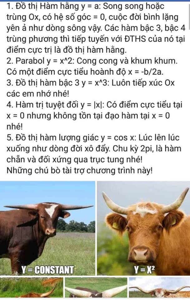 Những so sánh hài hước của thầy D. về đồ thị hàm số.