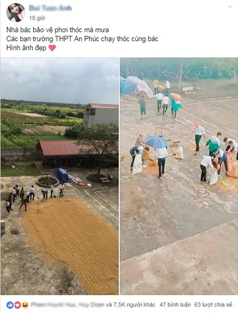 Hình ảnh đội mưa chạy thóc giúp bác bảo vệ của nhóm học sinh nhận được nhiều sự chú ý. Hình ảnh đội mưa chạy thóc giúp bác bảo vệ của nhóm học sinh nhận được nhiều sự chú ý.