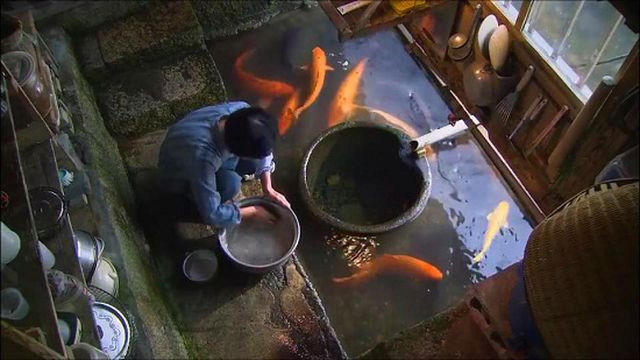 Bể nước nuôi cá cũng là nơi nấu cơm hàng ngày. Bể nước nuôi cá cũng là nơi nấu cơm hàng ngày.