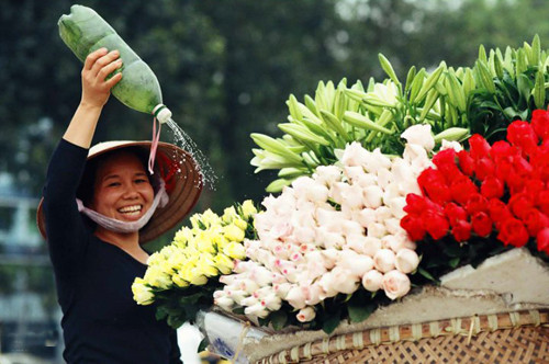 Nguồn: Internet