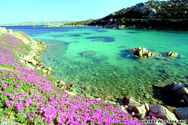 Mỗi năm, du khách đổ về đảo Sardegna và lấy đi vô số đá sỏi, cát và vỏ sò. Mỗi năm, du khách đổ về đảo Sardegna và lấy đi vô số đá sỏi, cát và vỏ sò.