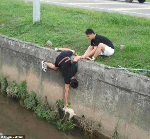 Cùng nhau cứu chú mèo khỏi rơi xuống nước. Cùng nhau cứu chú mèo khỏi rơi xuống nước.