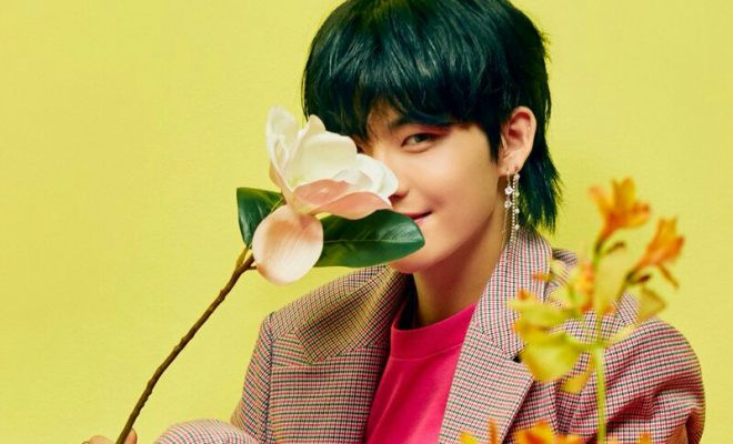 Hwall