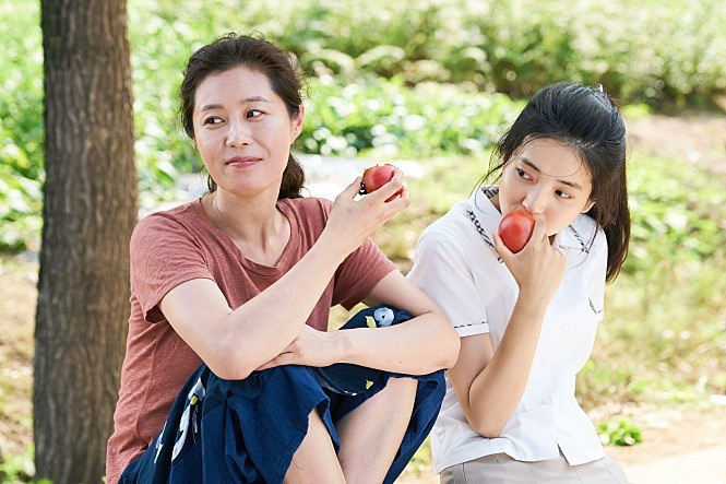 Ảnh minh họa: phim Little Forest (Hàn).