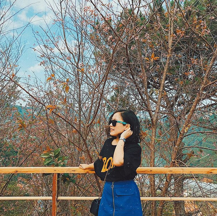 Ảnh: Hoaihihi257 Ảnh: Hoaihihi257