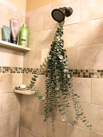 Treo lá khuynh diệp trong phòng tắm đang là xu hướng được chia sẻ nhanh chóng trên Pinterest.