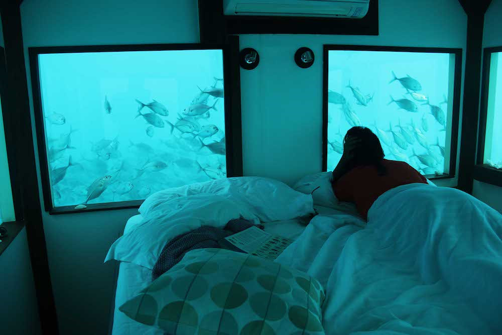 Ảnh: Chapter Travel. Ảnh: Chapter Travel.