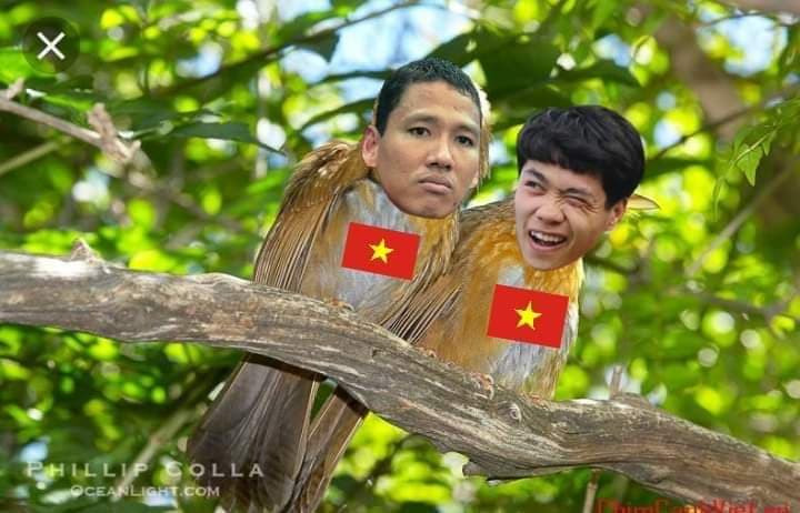 Ảnh: FB Chương Nguyễn. Ảnh: FB Chương Nguyễn.
