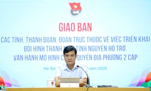 Tăng lực lượng tình nguyện hướng dẫn, hỗ trợ dịch vụ công trực tuyến tại nhà cho người dân