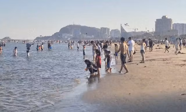  Sâu biển dày đặc, nhiều du khách đến Vũng Tàu ngao ngán