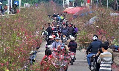 Thông tin từ cơ quan khí tượng về thời tiết Tết Nguyên đán: Dự báo trời đẹp!