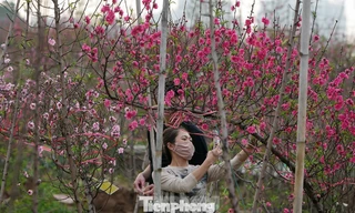 Thủ tướng đồng ý nghỉ 9 ngày Tết Nguyên đán Bính Ngọ 