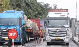 Tạm ngưng hiệu lực Nghị định số 46: Lộ khoảng trống điều khoản chuyển tiếp
