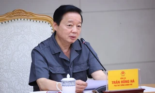 Phó Thủ tướng: Triển khai chính sách cho thuê nhà ở là thiết thực