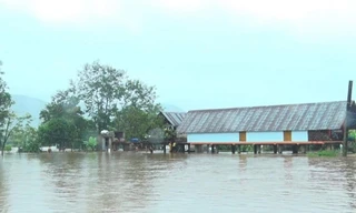 Lũ đặc biệt lớn ở Đắk Lắk, Gia Lai, Thủ tướng yêu cầu sơ tán dân đến nơi an toàn