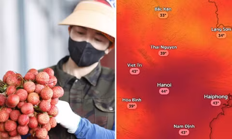 Mùa vải gắn với kinh nghiệm dân gian dự báo thời tiết
