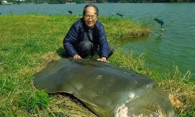'Nhà rùa học' Hà Đình Đức qua đời
