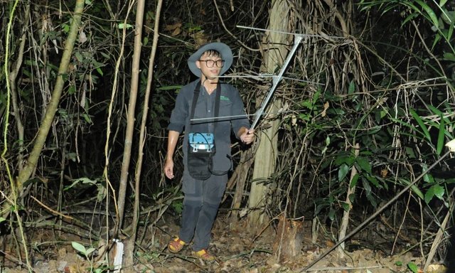 Cần thúc đẩy ứng dụng AI, Drone, SMART trong bảo vệ rừng