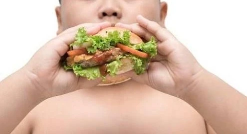 Báo động từ bữa ăn hiện đại