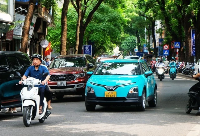 Giá xăng dầu leo thang, TP.HCM nói gì về hiện tượng găm hàng?