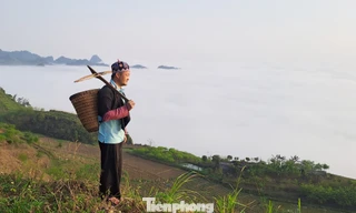 Chàng trai người Mông và hành trình đưa bà con cùng thoát nghèo