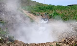 Tiêu huỷ hơn 2.100 tấn lợn do dịch tả châu Phi