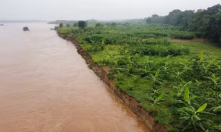 Sạt mái đê sông Thao, Bộ Nông nghiệp và Môi trường gửi công văn khẩn