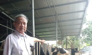 Nông dân điển hình vượt khó làm giàu