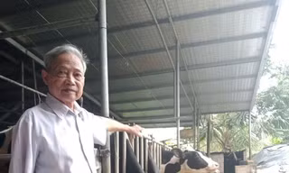 Nông dân điển hình vượt khó làm giàu