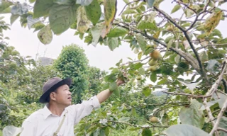 Người thầy gieo chữ, gieo mầm giảm nghèo bền vững ở nơi 'đá nhiều hơn đất'