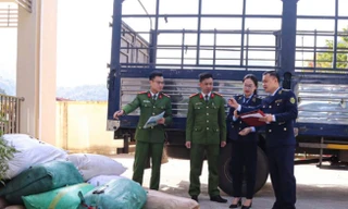 Phát hiện hơn 2,3 tấn nội tạng bốc mùi từ Sơn La về Ninh Bình 