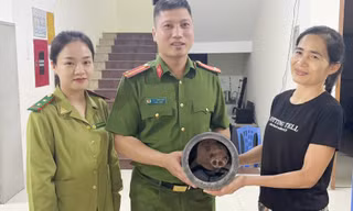 Cu li quý hiếm bò vào nhà dân ở Sơn La