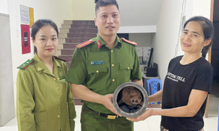 Cu li quý hiếm bò vào nhà dân ở Sơn La