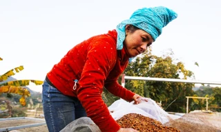 Người phụ nữ dân tộc Thái thay đổi tư duy làm giàu trên quê hương