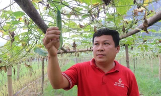 Người mở lối cho nông dân thoát nghèo